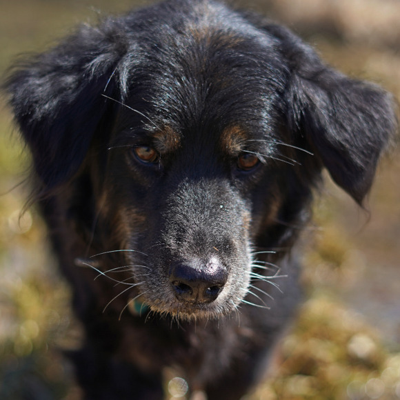 Meet your Posher, Ruthanne - Picture 1 of 1